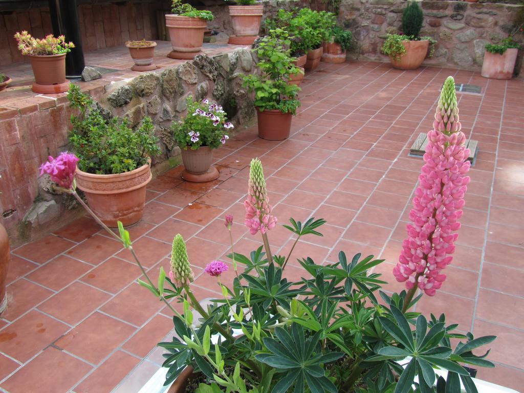 Ezcaray Turza Casa Rural Completa Hasta 8Pax Buitenkant foto